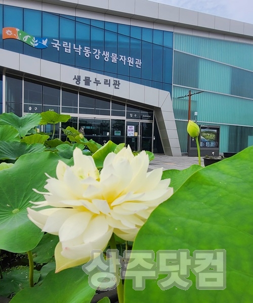 사본 -사진 1.jpg