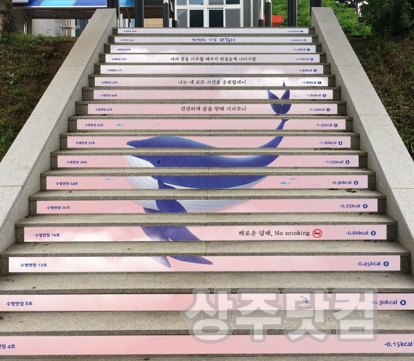 [건강증진과]학생 건강증진 위한 학교 금연·건강계단 설치1.jpg