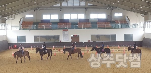 야간승마 강습반 개강.jpg