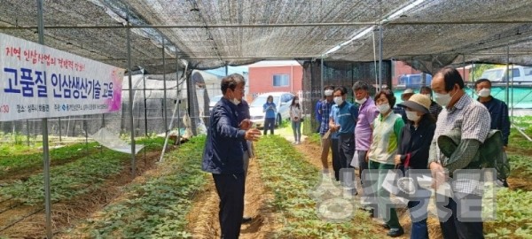 사본 -[농업정책과]상주시 친환경인증“인삼”재배면적 전국1위!.jpg