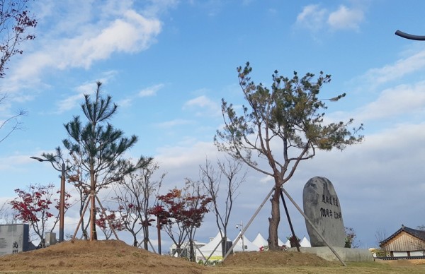 사본 -[산림녹지과]상주시, 천연기념물 ‘정이품송’ 자목 심어(경상감영공원).jpg