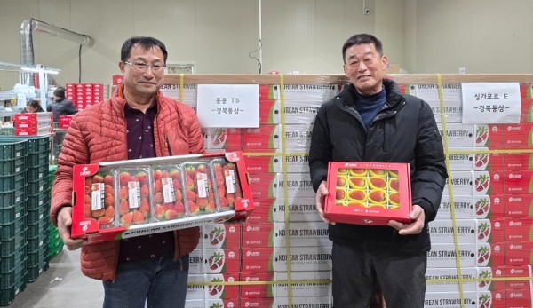 딸기 수출.jpg